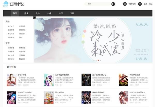 狂雨小说cms,管理系统.